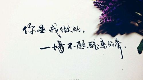 卡莱尔：我们最终没能完成目标，我非常失望但也无比骄傲的简单介绍